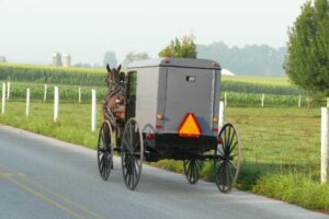 amish buggy