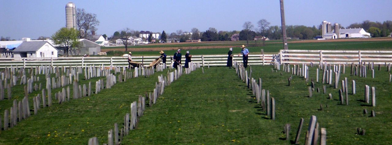 Amish Funeral Traditions - Photos